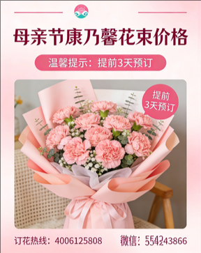 吉安花店母亲节康乃馨花束