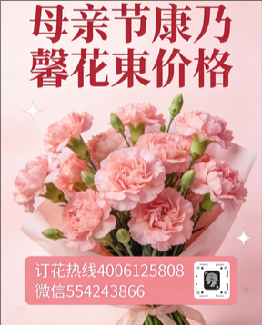 吉安花店母亲节康乃馨花束